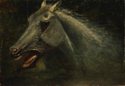 A Wild Stallion by Albert Bierstadt
